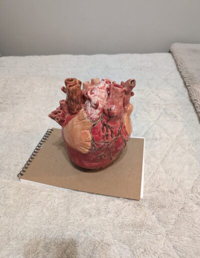 a model of a human heart on a notebook